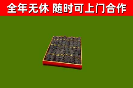 团风回收海参